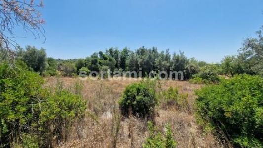 Annonce Vente Terrain Faro