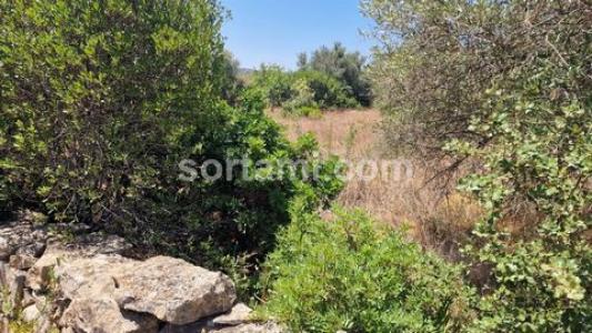 Acheter Terrain 142 m2 Faro