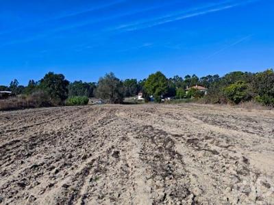 Annonce Vente Terrain Coruche