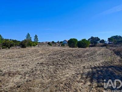 Acheter Terrain Coruche r�gion SANTAREM