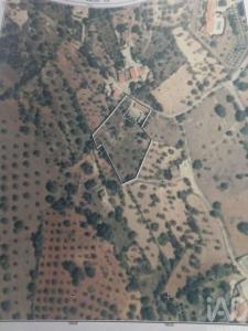Acheter Maison Loule r�gion FARO