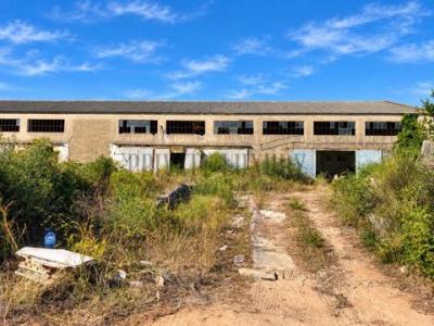 Annonce Vente Local industriel Almargem-do-bispo