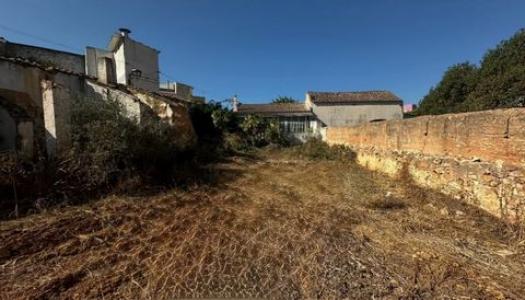 Acheter Terrain Guia r�gion LEIRIA