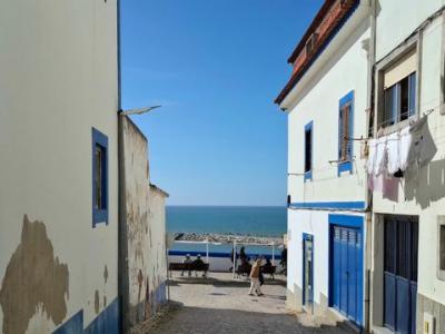 Annonce Location 2 pi�ces Appartement Mafra