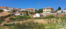 Acheter Terrain 3080 m2 TORRES-VEDRAS