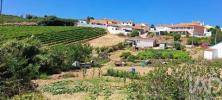 Acheter Terrain TORRES-VEDRAS r�gion LISBOA