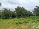 Acheter Maison ALCOBACA r�gion LEIRIA