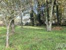 Acheter Terrain 1480 m2 SANTA-MARIA-DA-FEIRA