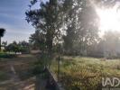 Acheter Terrain 1800 m2 PORTO-DE-MOS