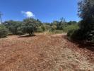 Acheter Terrain 297 m2 LOULE