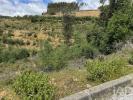 Vente Terrain CASTANHEIRA-DE-PERA 3280