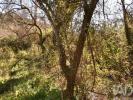 Annonce Vente Terrain OUREM