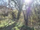 Acheter Terrain 5100 m2 OUREM
