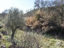 Annonce Vente Terrain OUREM