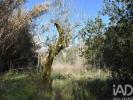 Acheter Terrain OUREM r�gion SANTAREM