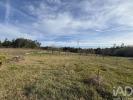 Vente Terrain COIMBRA 2525