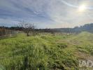 Acheter Terrain 25322 m2 COIMBRA