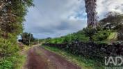 Annonce Vente Terrain LAJES-DO-PICO