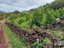 Acheter Terrain 801 m2 LAJES-DO-PICO