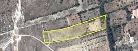 Acheter Terrain 9160 m2 FERREIRA-DO-ZEZERE