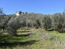Acheter Terrain 2160 m2 FERREIRA-DO-ZEZERE
