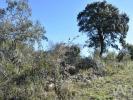 Acheter Terrain FERREIRA-DO-ZEZERE r�gion SANTAREM