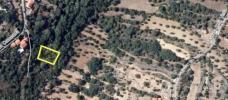 Annonce Vente Terrain FERREIRA-DO-ZEZERE