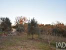 Vente Terrain FERREIRA-DO-ZEZERE 2240