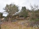 Acheter Terrain 2120 m2 FERREIRA-DO-ZEZERE