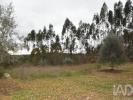 Acheter Terrain FERREIRA-DO-ZEZERE r�gion SANTAREM
