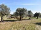 Acheter Terrain FERREIRA-DO-ZEZERE r�gion SANTAREM