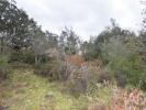 Acheter Terrain 8880 m2 FERREIRA-DO-ZEZERE