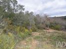 Acheter Terrain FERREIRA-DO-ZEZERE r�gion SANTAREM