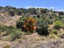 Annonce Vente Terrain CASTRO-MARIM