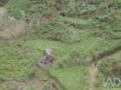 Acheter Local commercial VELAS r�gion ACORES