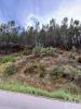 Acheter Terrain 1400 m2 CASTELO-BRANCO