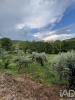 Acheter Terrain CASTELO-BRANCO r�gion BRAGANCA