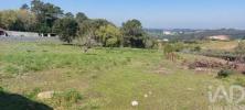 Annonce Vente Terrain ALCOBACA