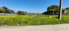 Acheter Terrain 5203 m2 ALCOBACA