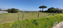 Vente Terrain ALCOBACA 2460