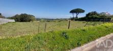 Acheter Terrain 4882 m2 ALCOBACA
