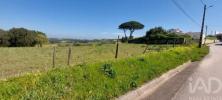 Acheter Terrain ALCOBACA r�gion LEIRIA