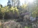 Acheter Maison OUREM r�gion SANTAREM
