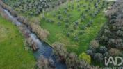 Annonce Vente Terrain OUREM