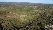 Annonce Vente Terrain FERREIRA-DO-ZEZERE