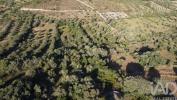 Acheter Terrain 4800 m2 FERREIRA-DO-ZEZERE