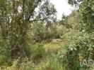 Annonce Vente Terrain FERREIRA-DO-ZEZERE