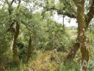 Acheter Terrain FERREIRA-DO-ZEZERE r�gion SANTAREM