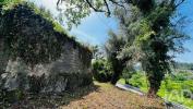 Annonce Vente Maison AMARANTE