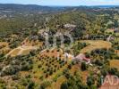 Acheter Maison 293 m2 LOULE